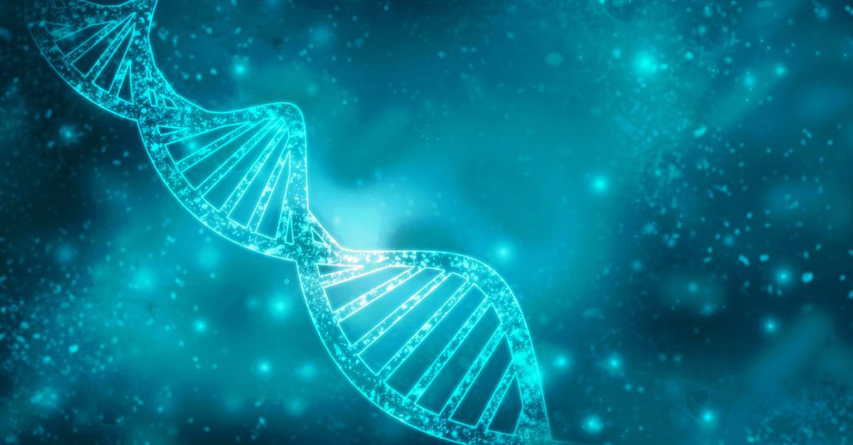 Hierarchical Editing Language for Macromolecules (HELM)