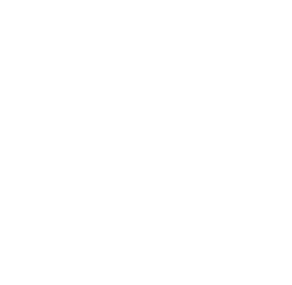 A white circular icon with lines and nodes representing a network