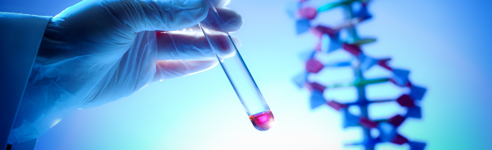 In Vitro Pharmacology